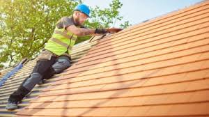 Best Roof Maintenance  in Stockbridge, MI
