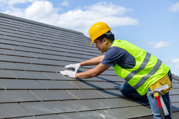 Best Asphalt Shingle Roofing  in Stockbridge, MI