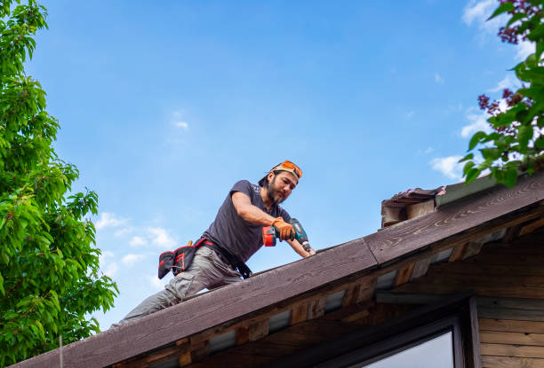 Best Roof Leak Repair  in Stockbridge, MI