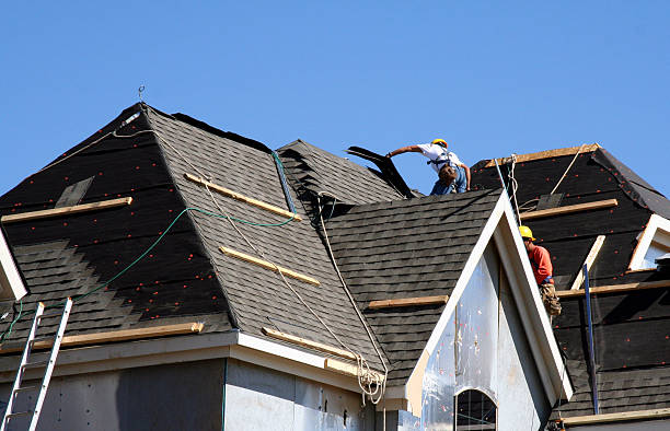 Best Roof Insulation Installation  in Stockbridge, MI