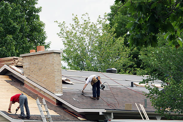 Best Roof Insulation Installation  in Stockbridge, MI