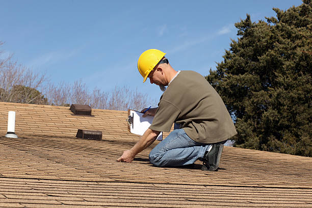Best Roof Insulation Installation  in Stockbridge, MI