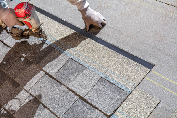 Best Roof Coating and Sealing  in Stockbridge, MI